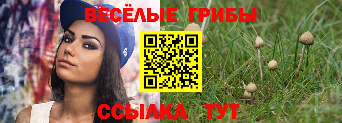Галлюциногенные грибы Psilocybine cubensis  Псилоцибиновые грибы Psilocybe  Белебей  Вход с VPN 